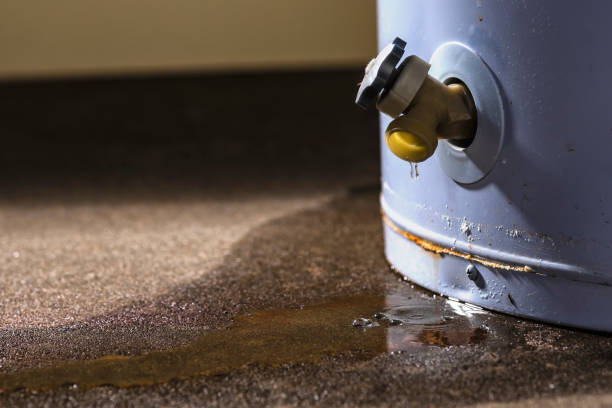 Best Water damage cleanup near me  in Queen City, TX