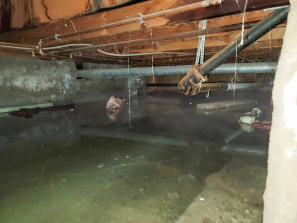 Best Commercial water damage restoration  in Queen City, TX