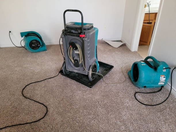 Trusted Queen City, TX Water damage restoration Experts