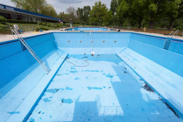 Best Professional water damage repair  in Queen City, TX