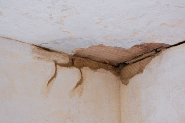 Best Carpet water damage restoration  in Queen City, TX