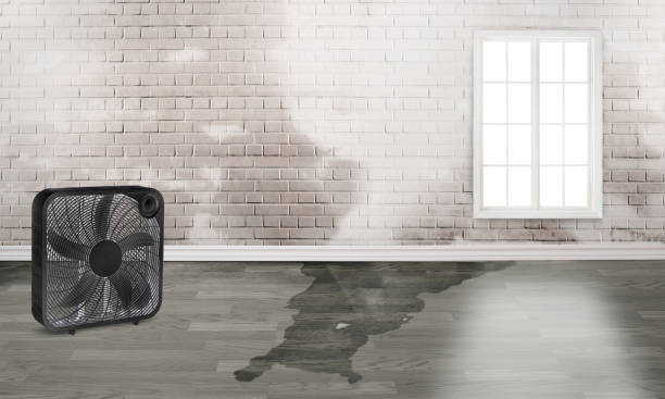 Fire Damage Restoration in Queen City, TX