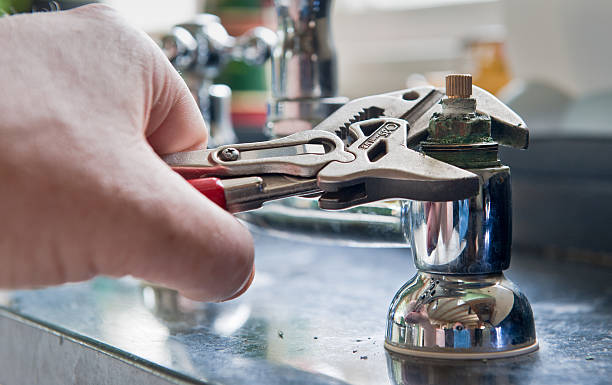 Best Mold removal after water damage  in Queen City, TX
