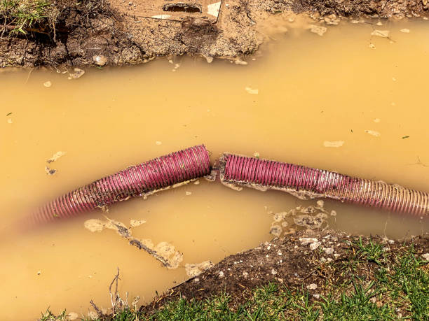 Best Flood restoration services  in Queen City, TX