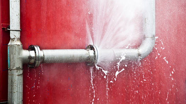 Best Flood damage cleanup  in Queen City, TX