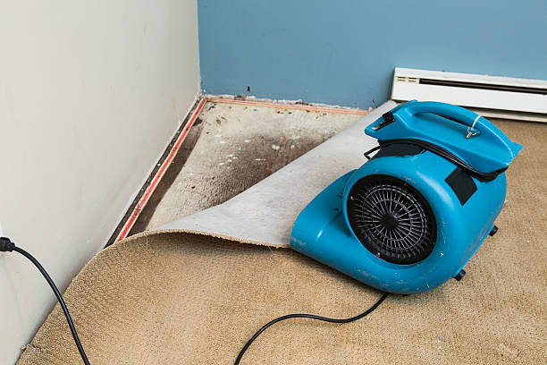 Best Ceiling water damage repair  in Queen City, TX